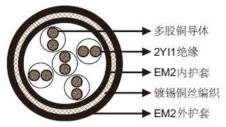 2YSLGCGOEU信號(hào)控制電纜控制單元連接