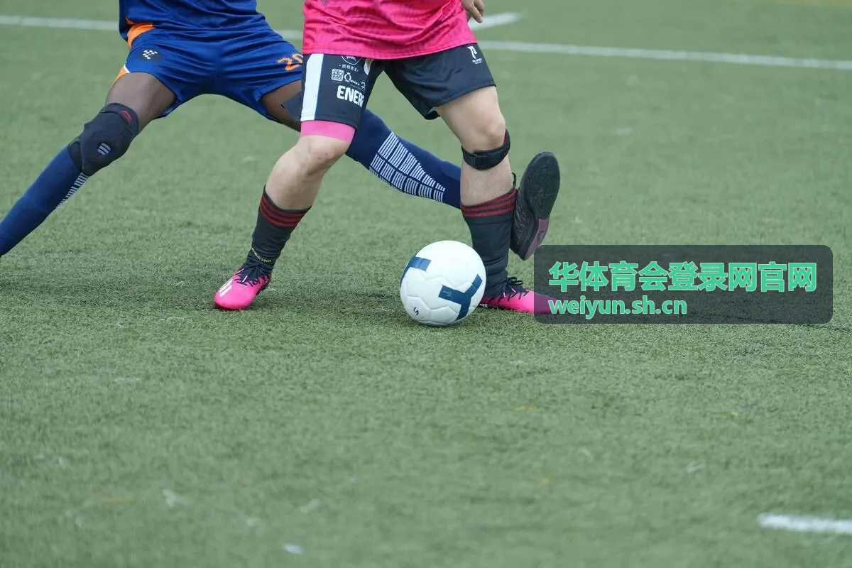 2010世界杯欧洲区预赛回顾：欧洲诸强的晋级之路